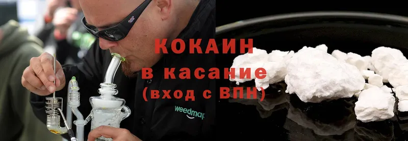 где найти   Кедровый  Cocaine Боливия 